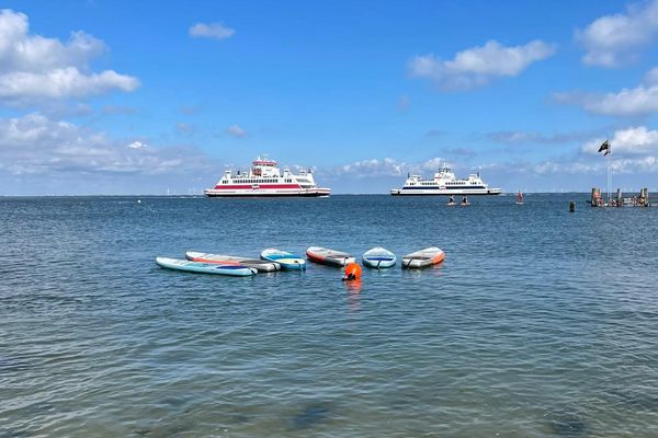 SUP Verleih am Wyker Hauptstand bei SUP Island