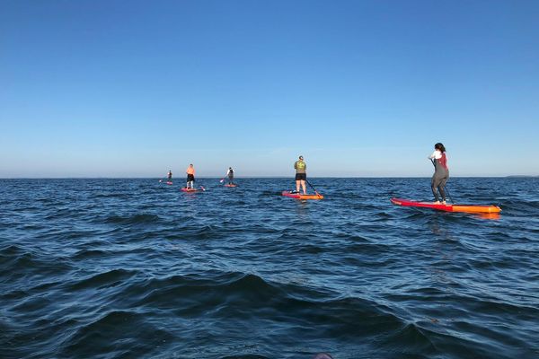 SUP Tour von Föhr nach Amrum